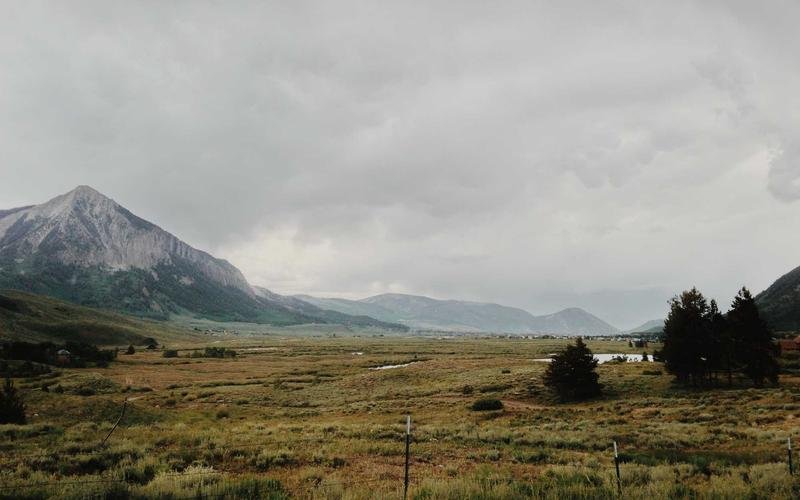 زمانی کوردی لە سەردەمی دیجیتاڵدا